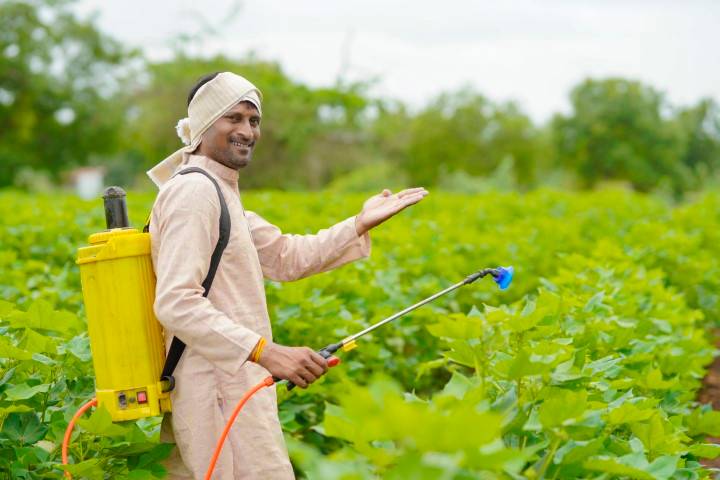 Indian farmer using an Anmol knapsack sprayer in a green field